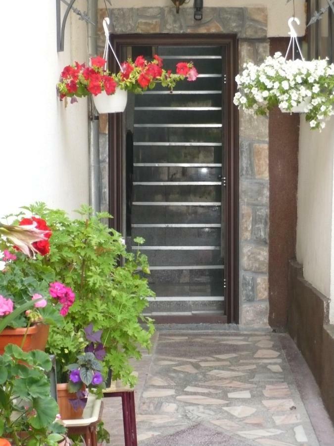 Casa Chiva Hotel Orsova Exterior photo