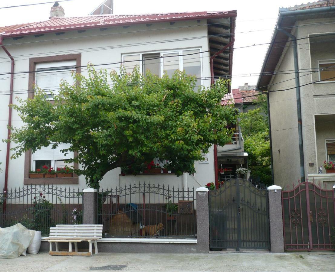 Casa Chiva Hotel Orsova Exterior photo