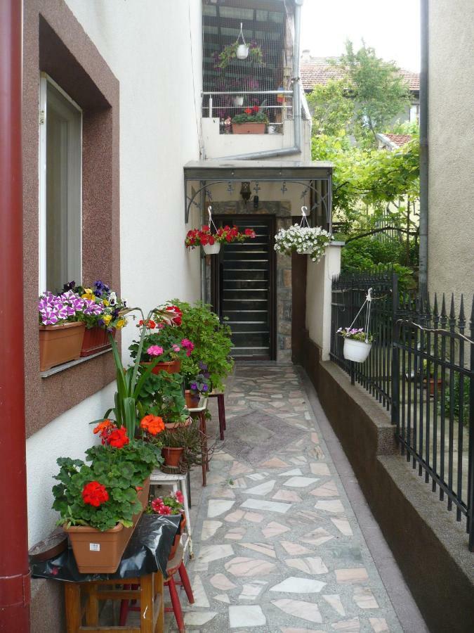 Casa Chiva Hotel Orsova Exterior photo