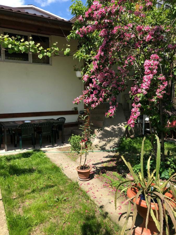 Casa Chiva Hotel Orsova Exterior photo